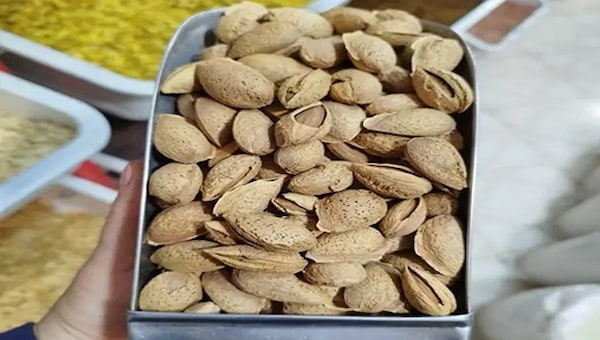 تصویر 2 از قیمت بادام کاغذی شور + خرید باور نکردنی